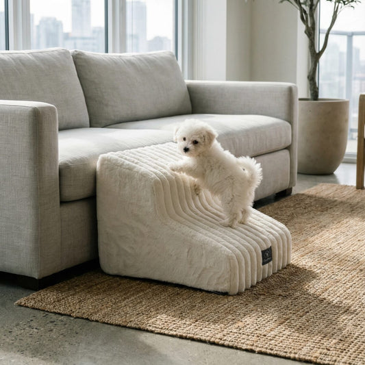 Dog on a pet ramp in a modern living room with white furniture and plants.