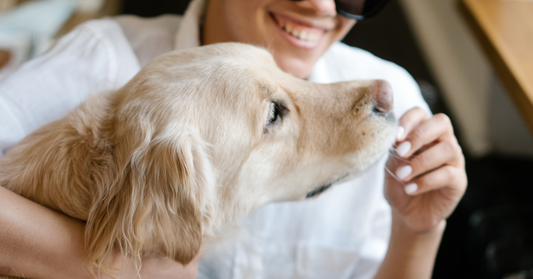 Buying a Dog in Australia: A Complete Guide for New Owners
