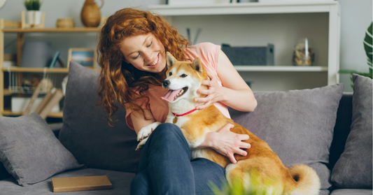 All Pets: Complete Guide to Caring for All pets, All for Pets & All Pets Perth Lovers