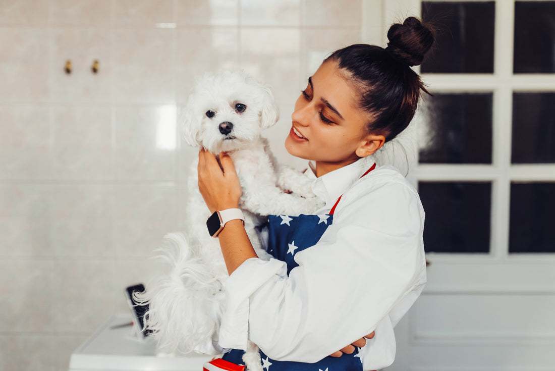 Dog Styling: Complete Grooming Guide for Every Season