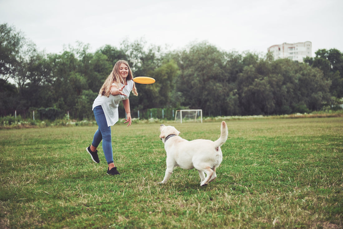 Fun With Dogs: The Ultimate Guide to Dog Enrichment and Play