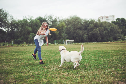 Fun With Dogs: The Ultimate Guide to Dog Enrichment and Play