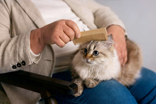 Grooming Cat