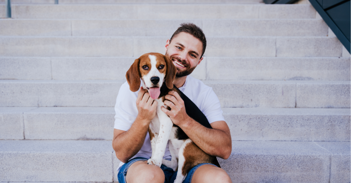 How to Train Your Dog to Use Stairs Safely