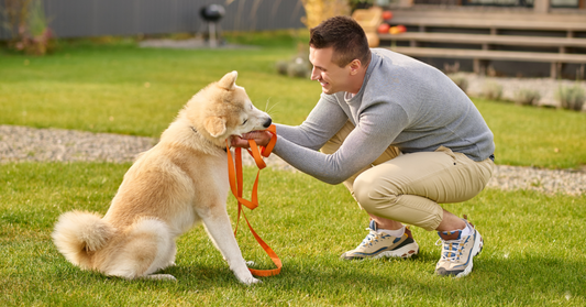 Mastering Fun: What to Know About Dogs at Dog Parks