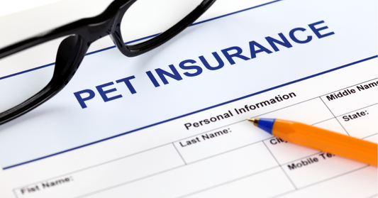 Pet Insurance Australia RSPCA: Guide to the New RSPCA Pet Insurance