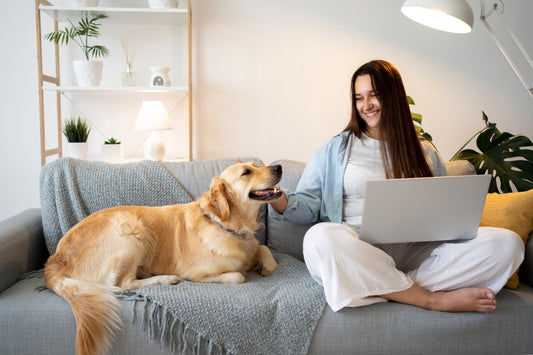 Pet in Home: A Complete Guide to Happy Pets and Happy Homes
