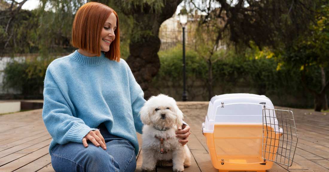 Puppy Puppies: How to Choose, Where to Get One, and Bringing Your New Pup Home
