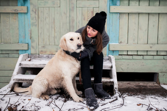 RSPCA Wollongong & Illawarra Dog Adoption Guide (2026)