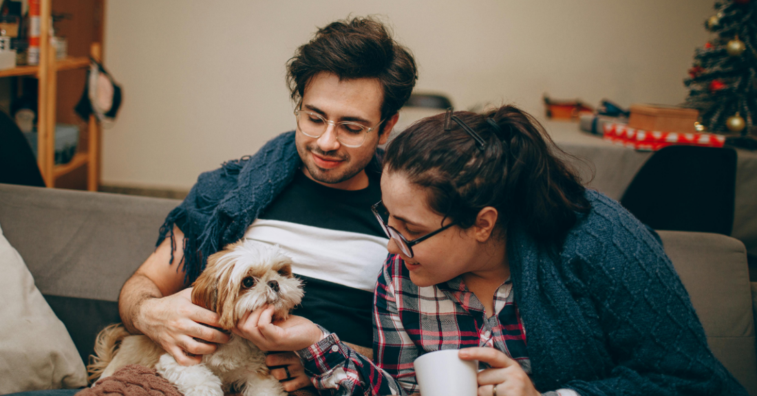 Tail Wagging dogs Guide: Choosing the Perfect Dog Bed for Your Pet