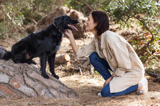 Biological Name of Dog: Scientific Name, Species, and Key Facts