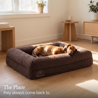 Dog Bed
