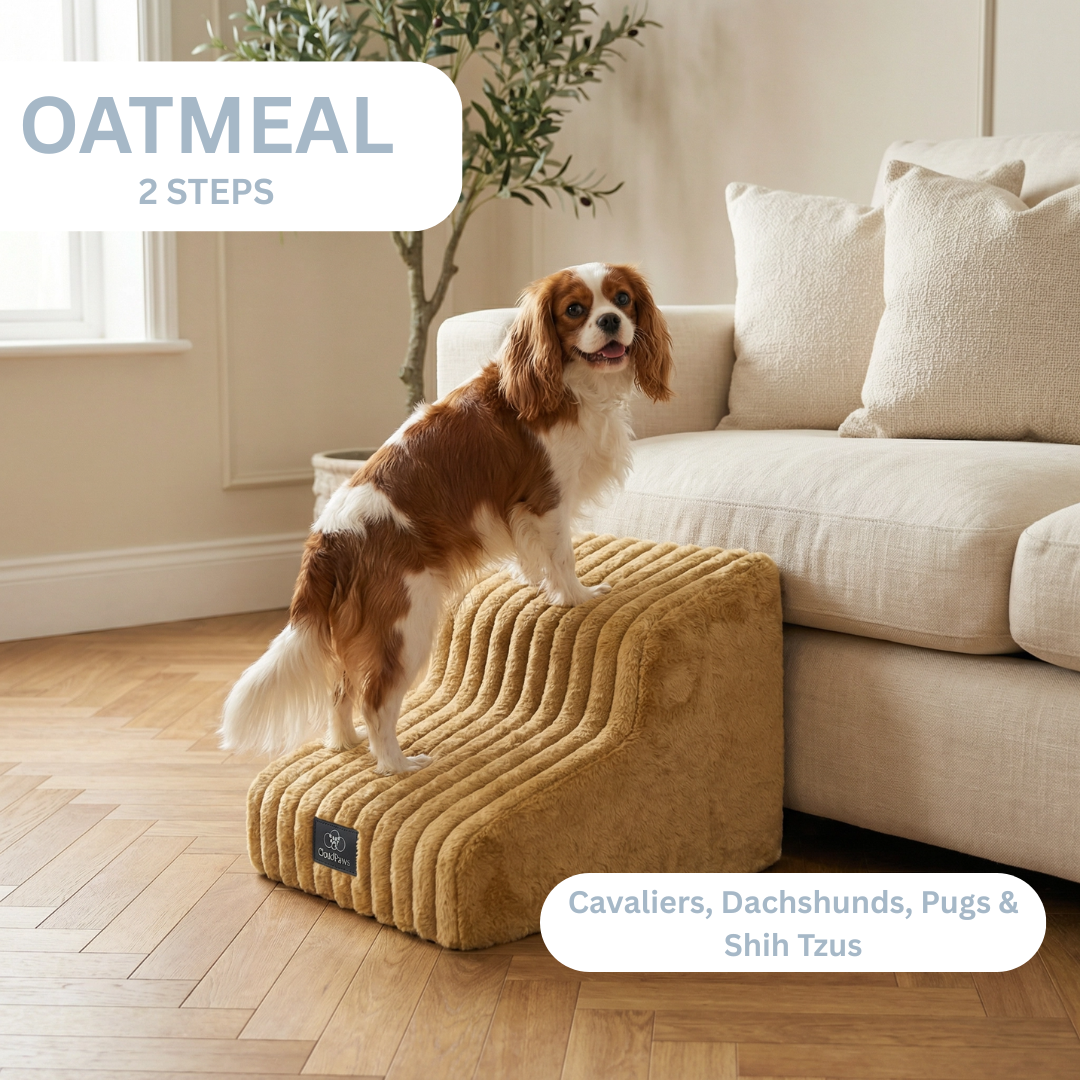 Dog standing on a pet ramp in a living room with 'Oatmeal 2 Steps' text overlay.