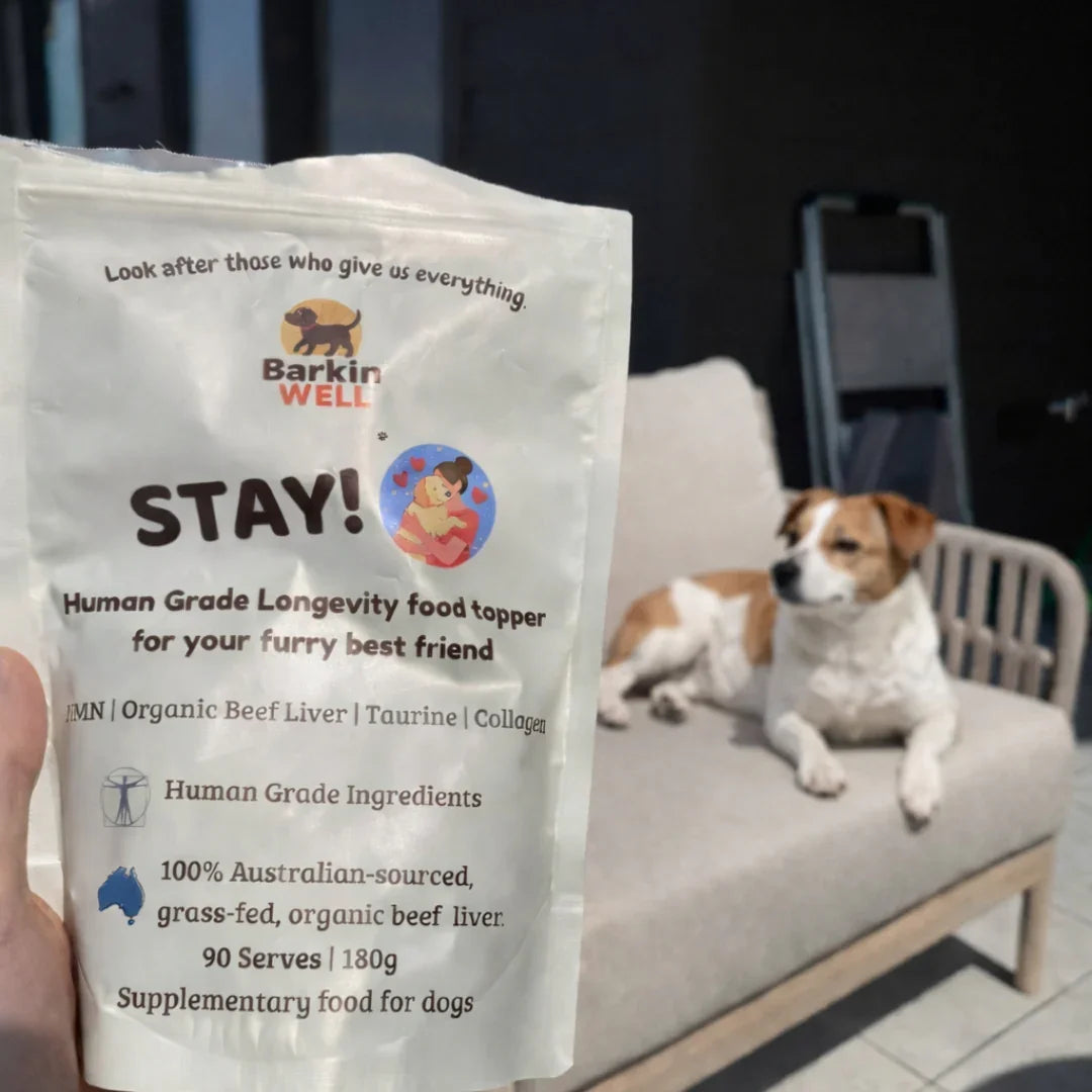 Dog food