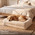 Dog Bed