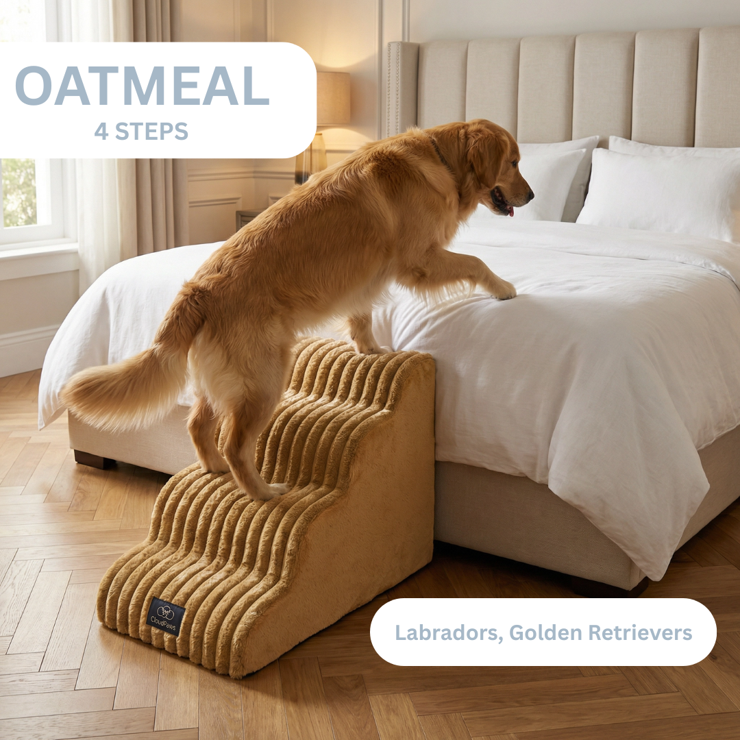 Dog using a pet ramp to climb onto a bed in a bedroom setting