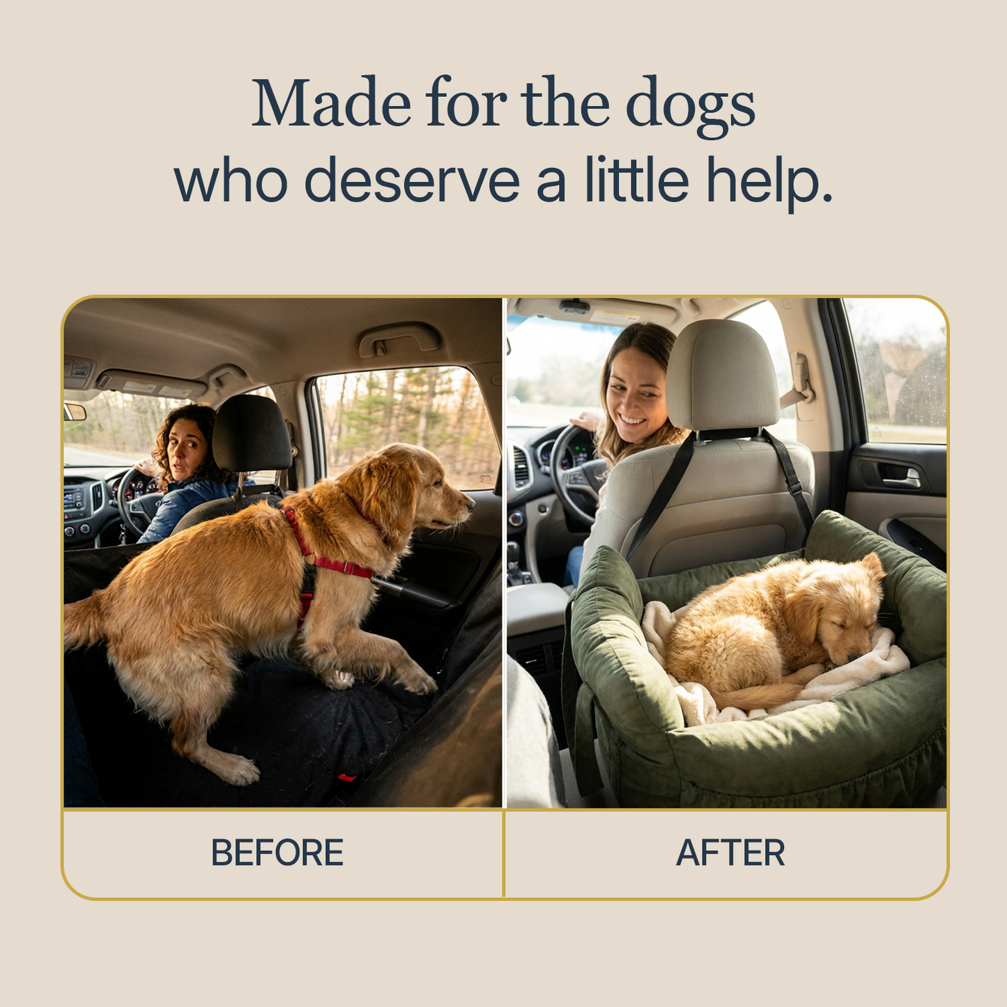 Dog car seat 