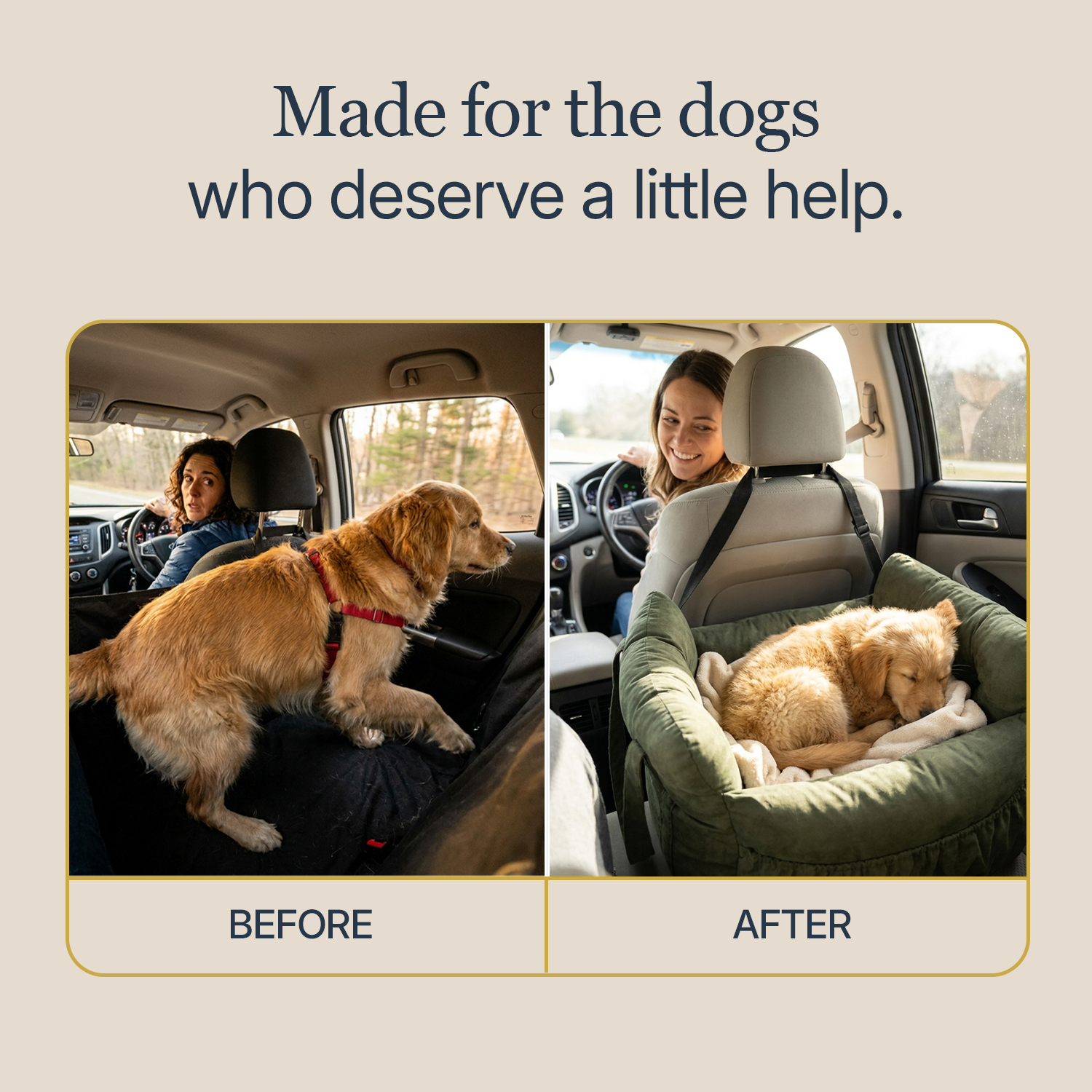 Dog car seat 