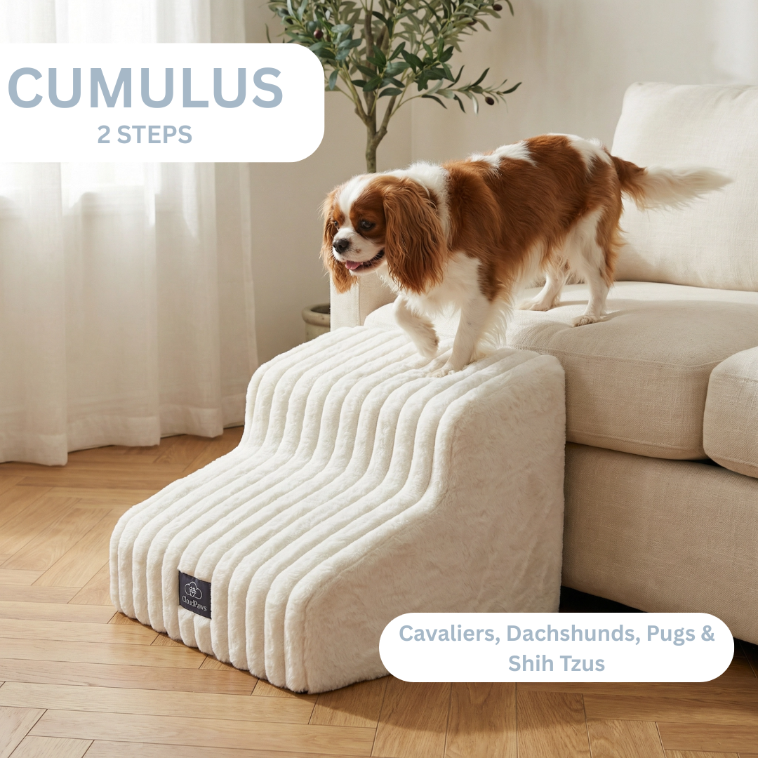 Dog using a Cumulus 2 Steps pet ramp on a couch in a living room.