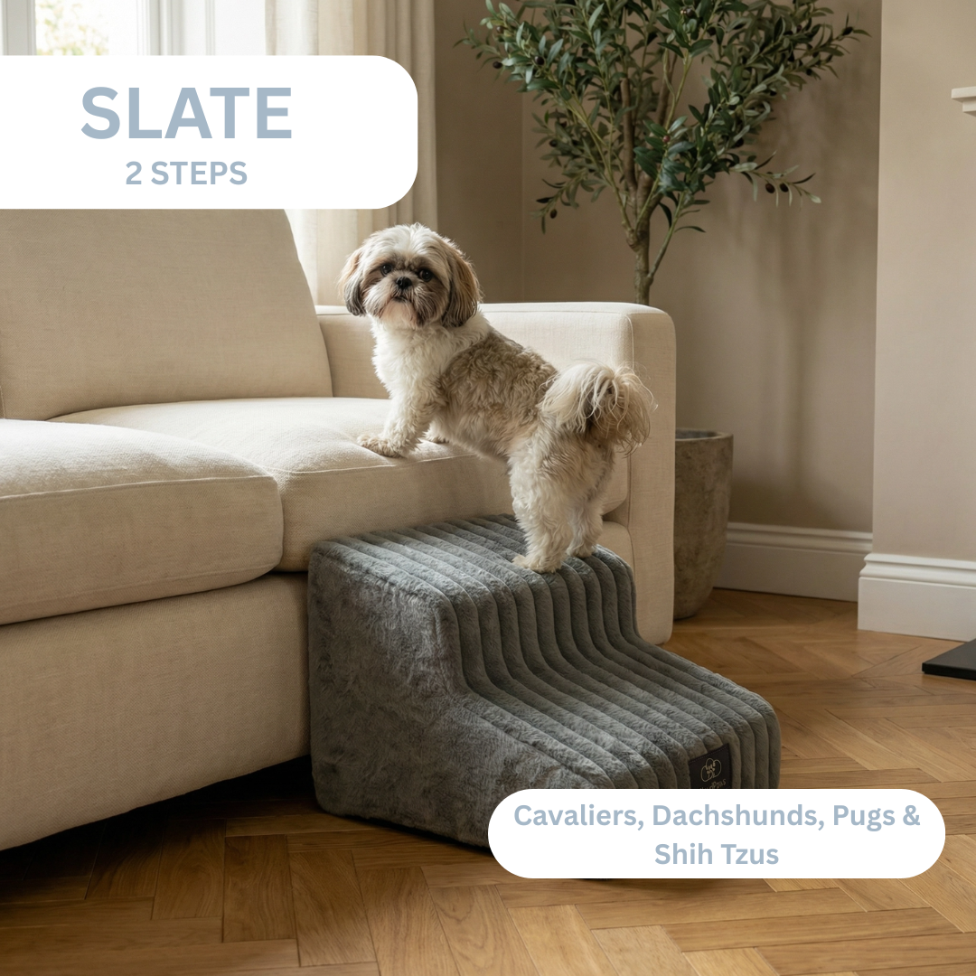Dog using a set of gray pet steps to reach a couch in a living room.