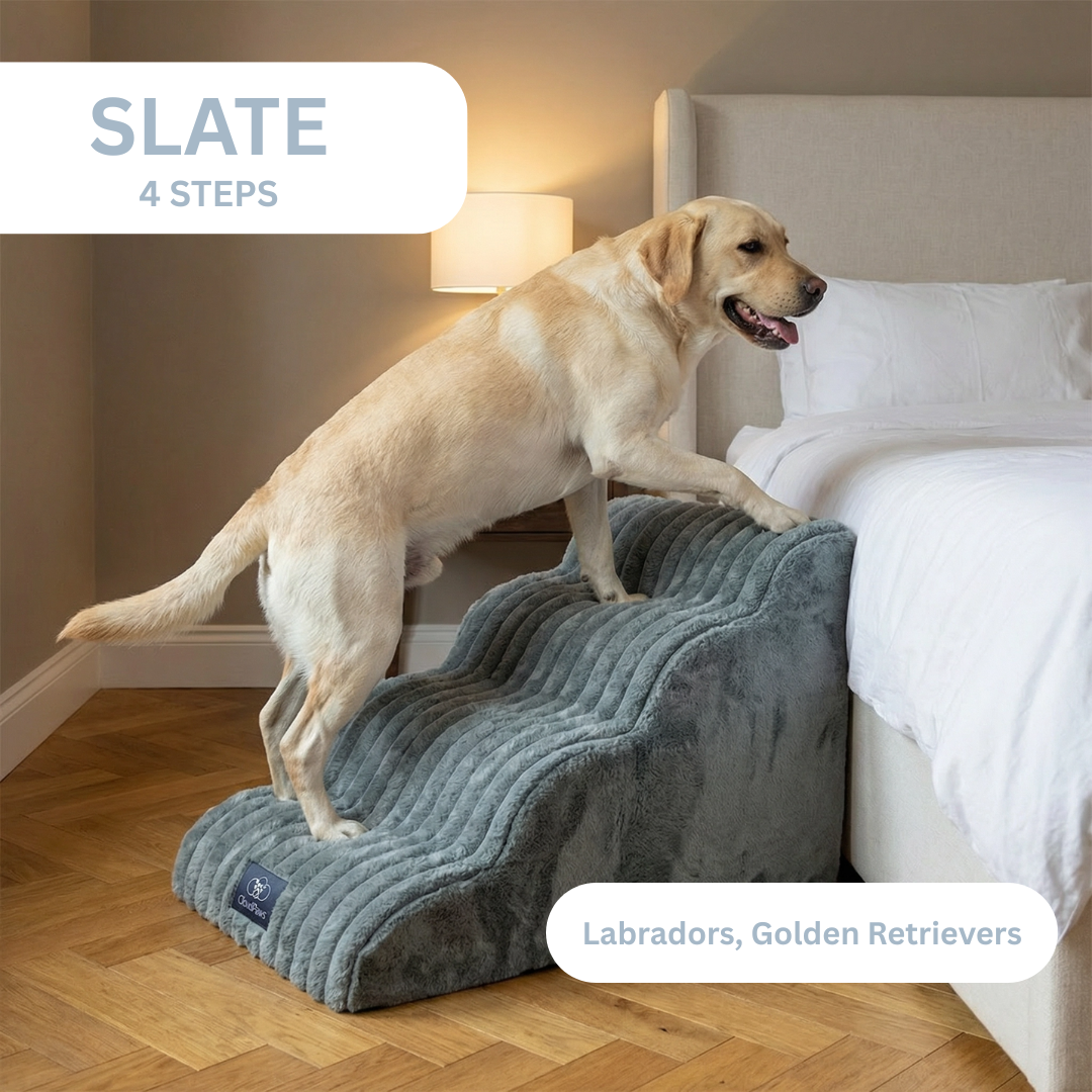 Dog using a set of pet stairs to climb onto a bed, with 'Slate 4 Steps' branding visible.