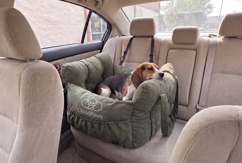 The co_pilot