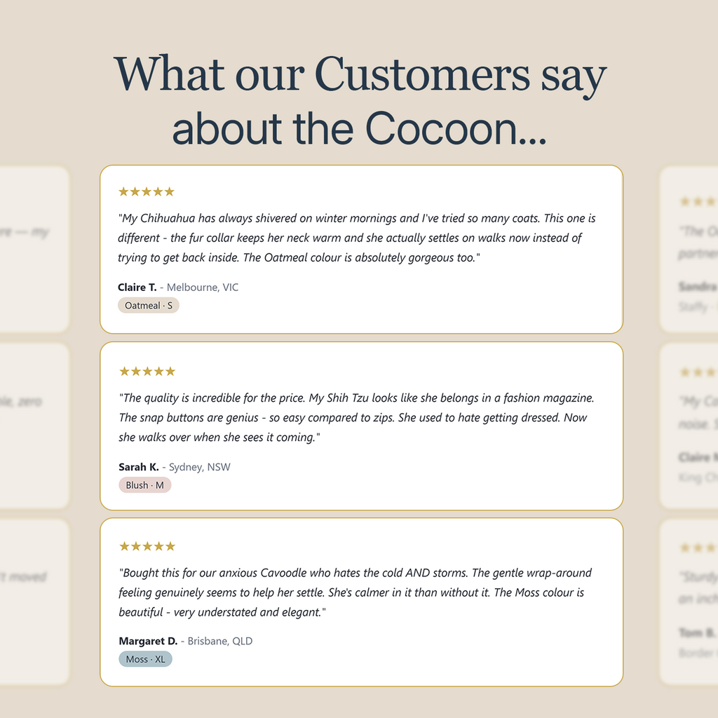 Review of cocoon