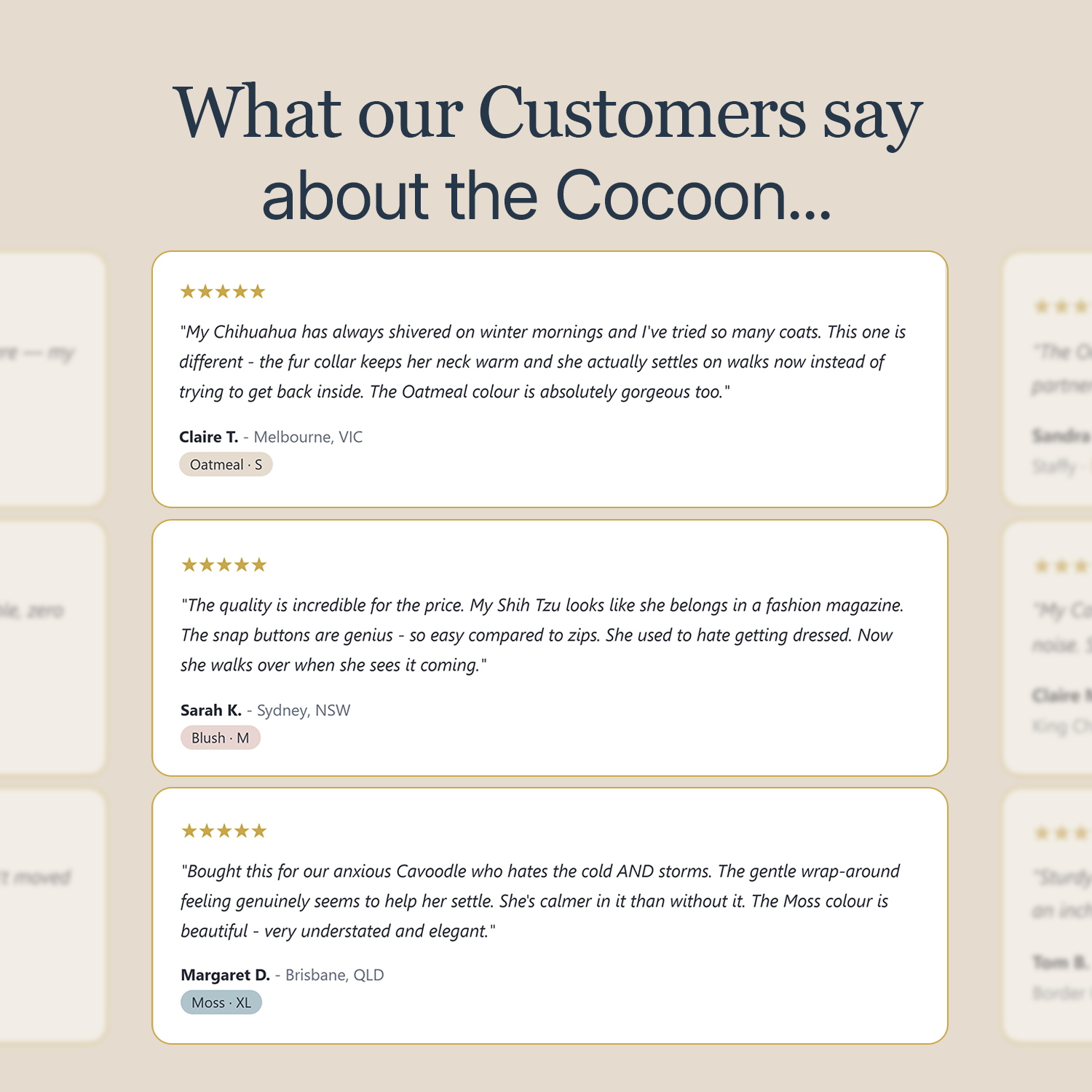 Review of cocoon