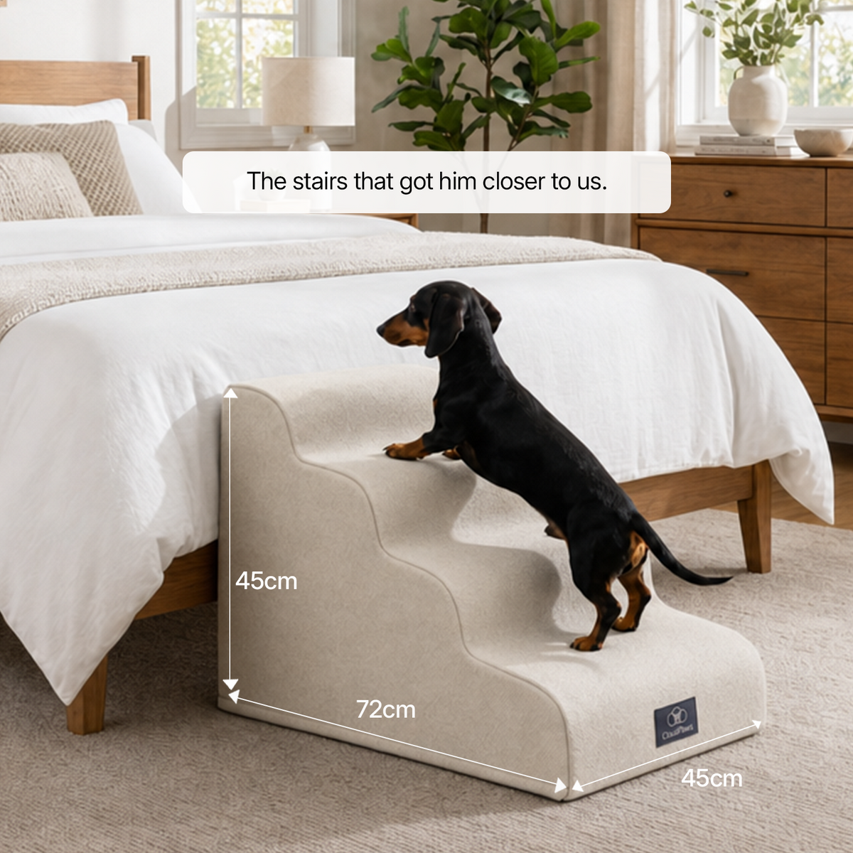 CloudPaws Komforttreppe