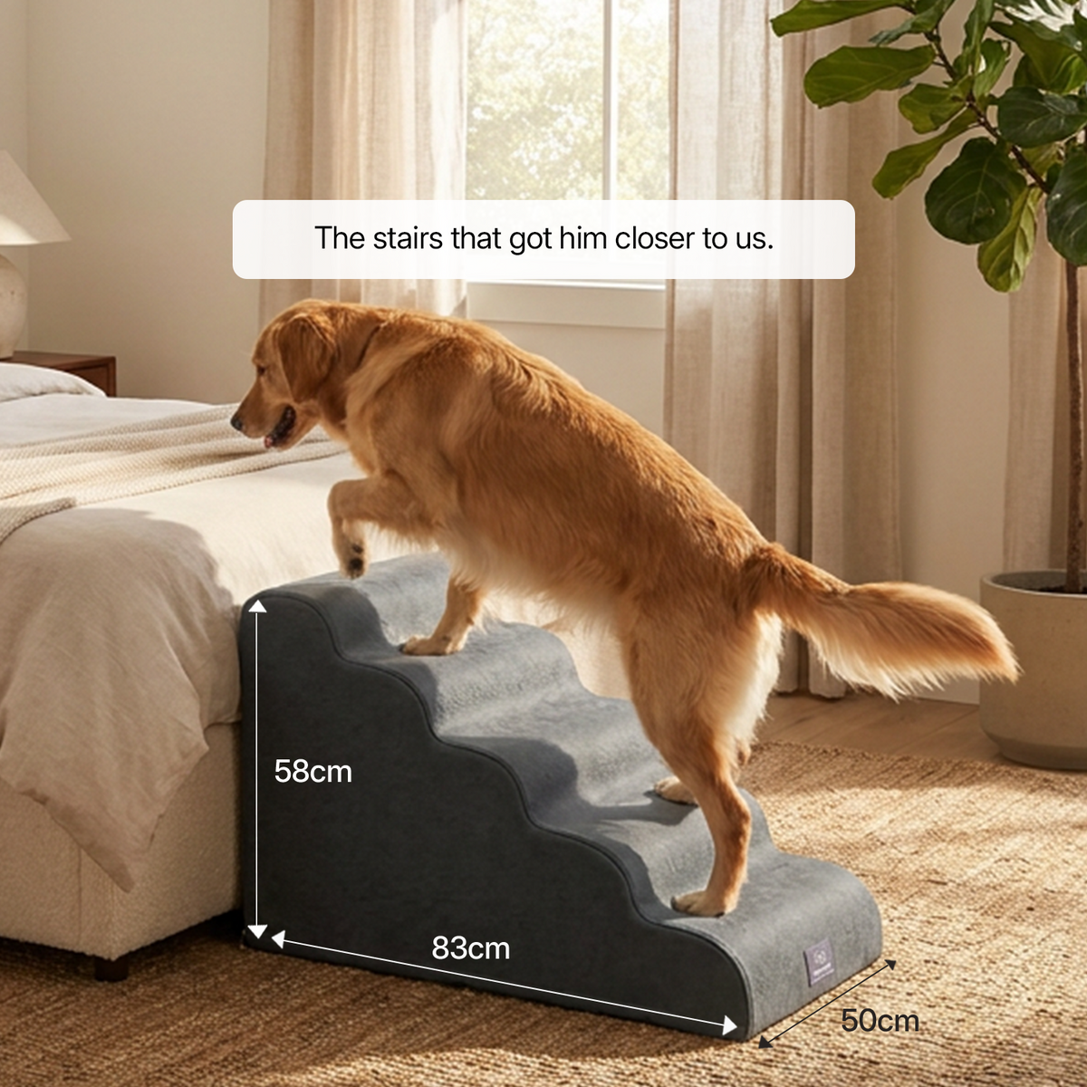 CloudPaws Komforttreppe