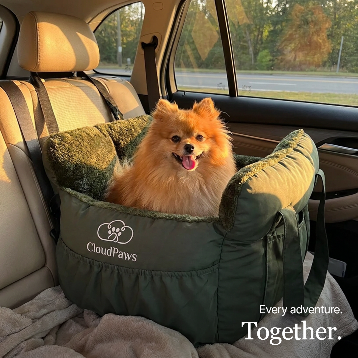 Dog car seat