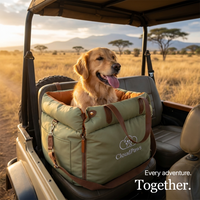 Dog car seat