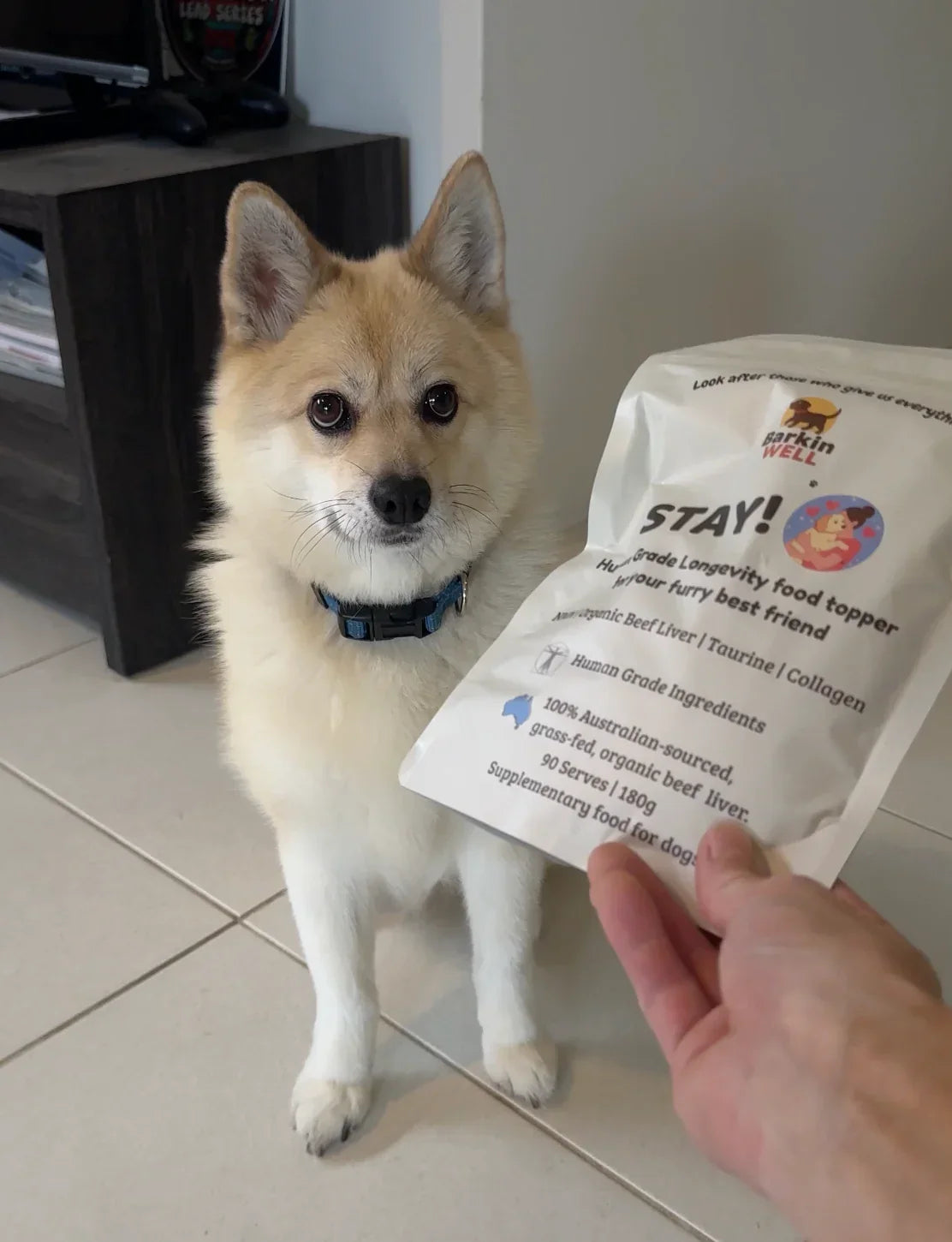 Dog food