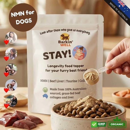 Dog food video