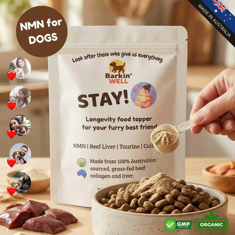 Dog food