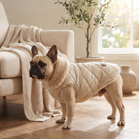 Dog wearing a beige coat standing in a living room with a couch and window in the background.