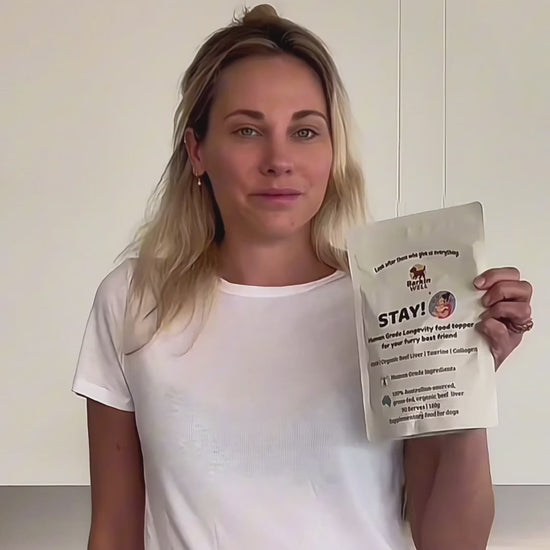 Dog food video