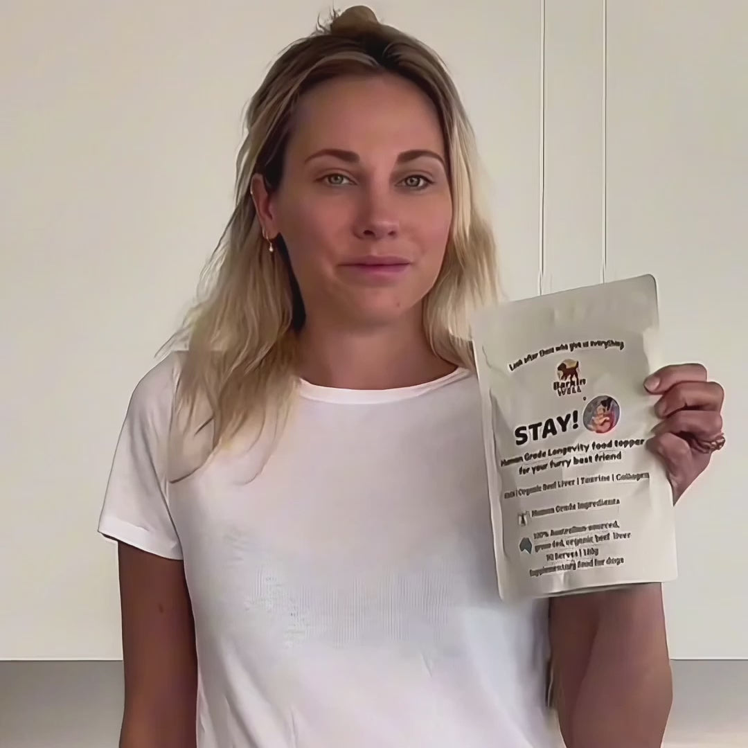 Dog food video