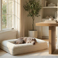 Dog resting on a cushion in a cozy living room with a table and plant.