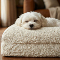 Small white dog lying on a beige pet bed in a cozy room.